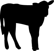 Utah Ranch Sorting Association Riverton, Utah